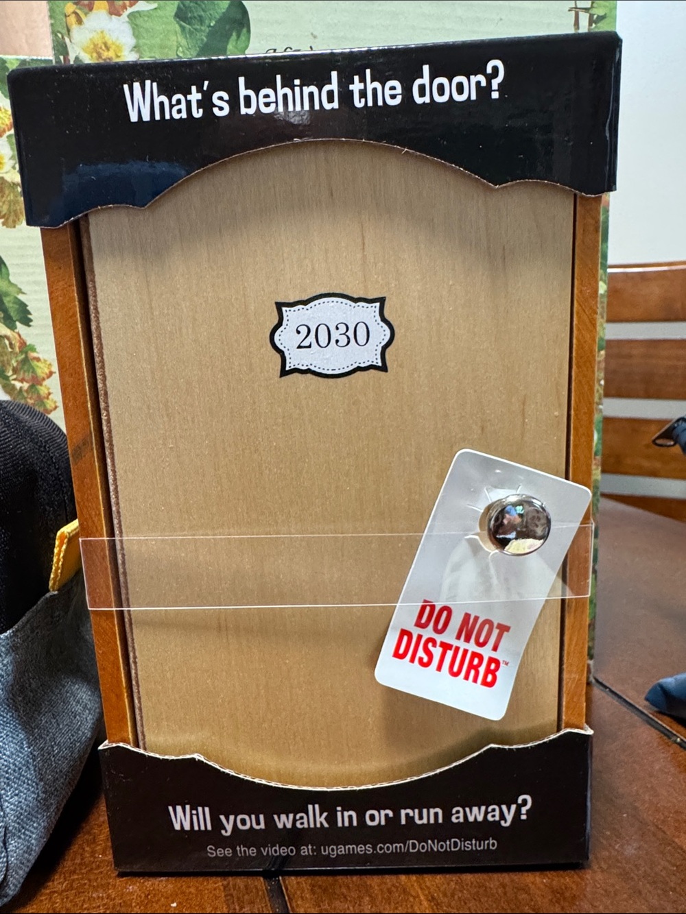 Do Not Disturb Adult Game  Wooden Door Decorative Accent - Natural